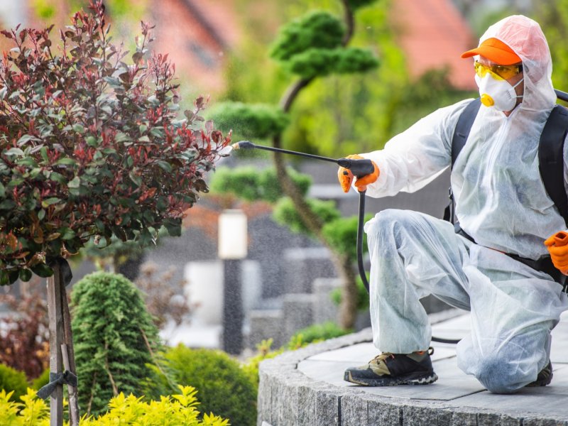 Uludere Haşere İlaçlama